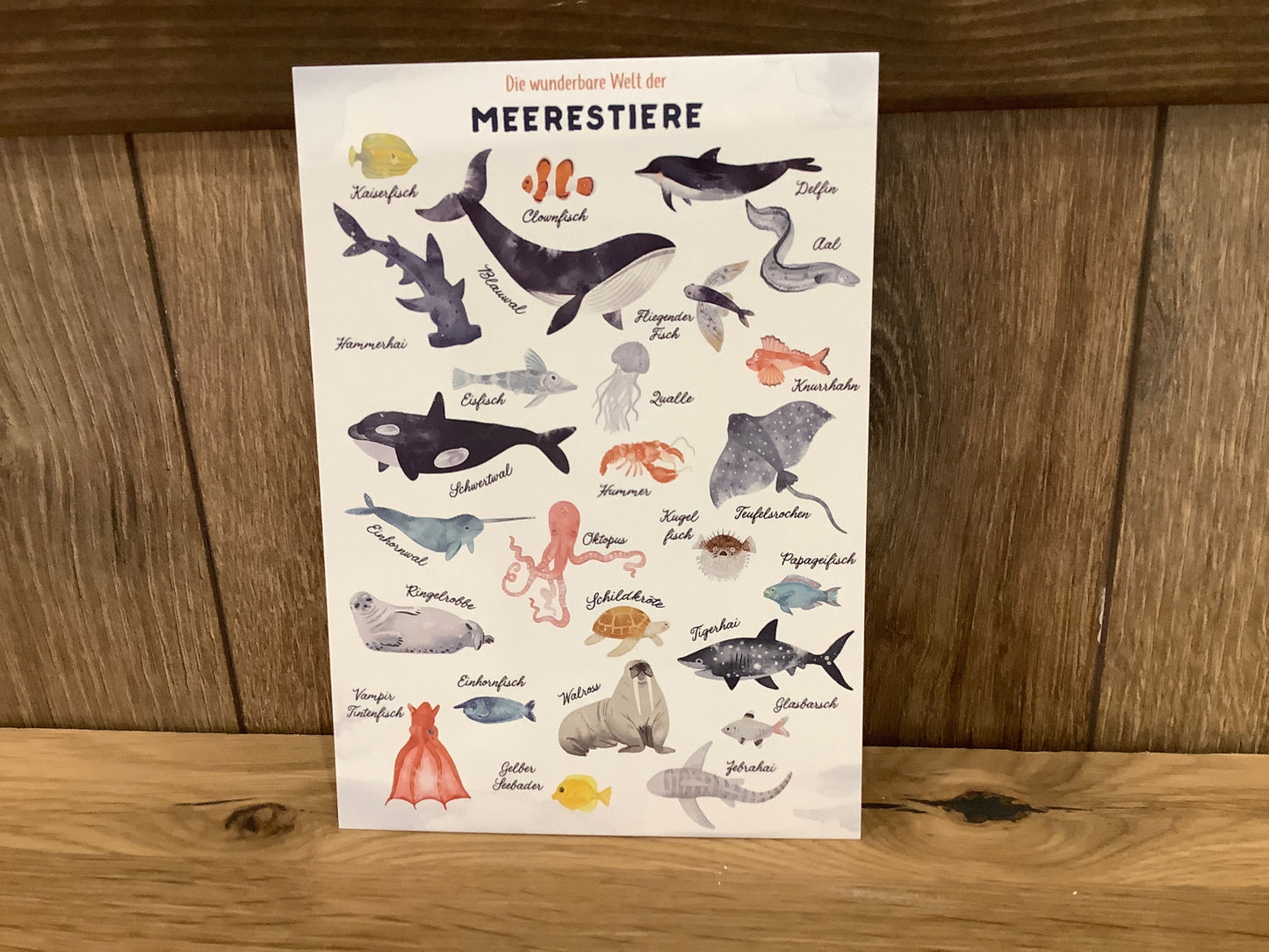 Postkarte "Die wunderbare Welt der Meerestiere" OHØJ Papeterie