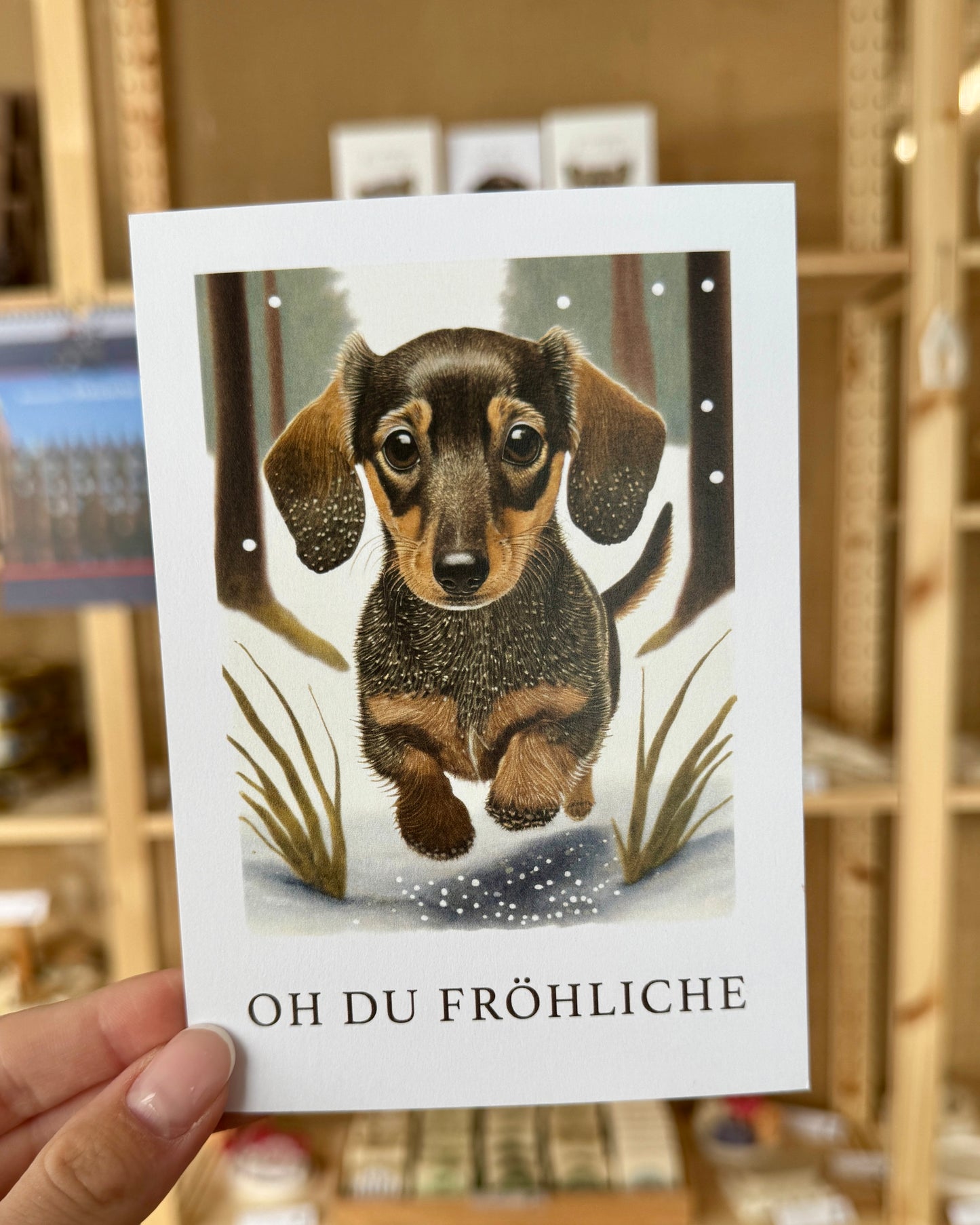 Weihnachten: Postkarte „Winter-Dackel“